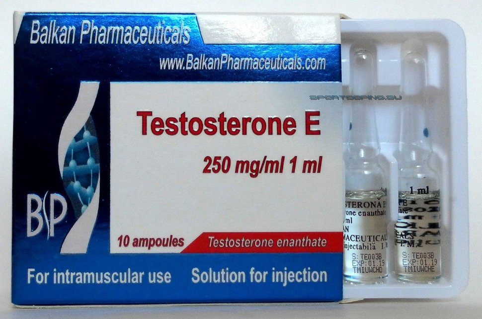 Testosterona-E (Testosterone Enanthate) - Anabolics Heaven